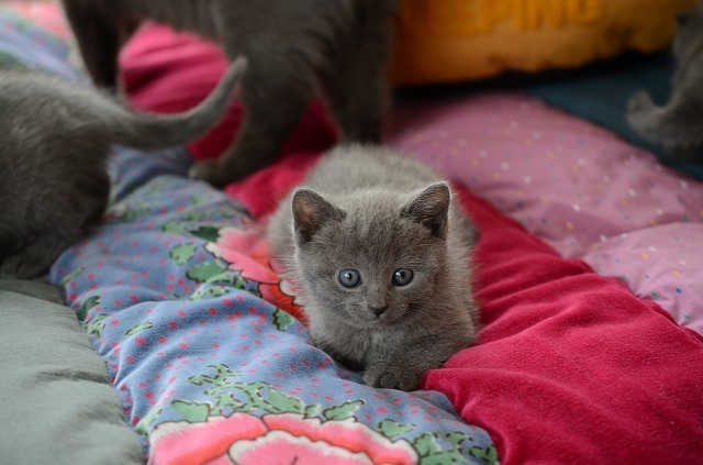 DSC_2183.jpg
